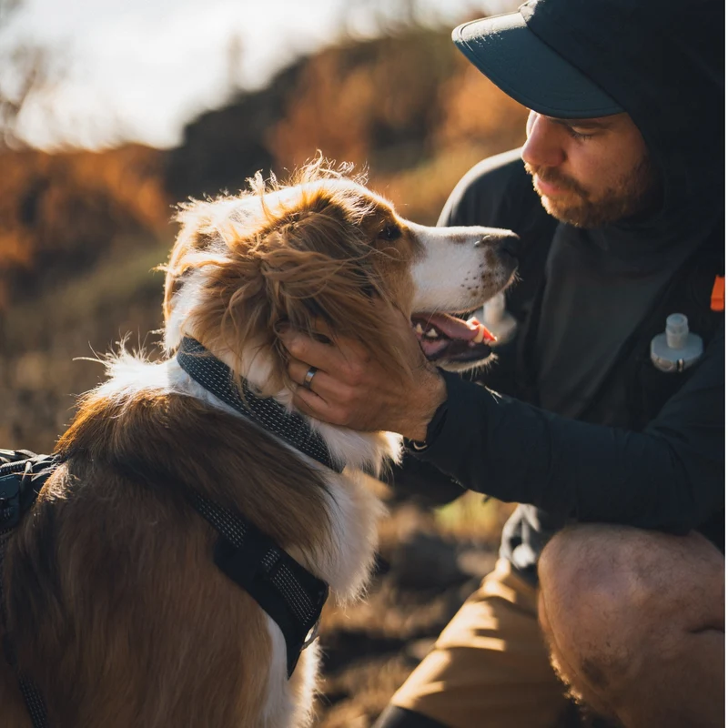 Ruffwear Ridgeline Collar – Reflektierendes Hundehalsband für Abenteuer, Sicherheit & Komfort bei Tag und Nacht