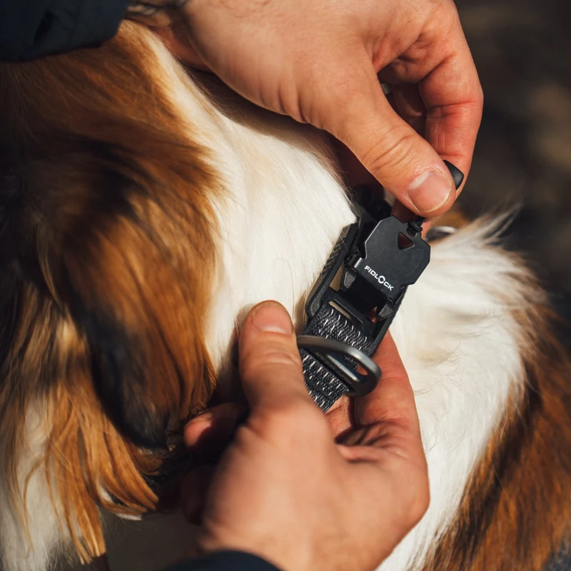 Ruffwear Ridgeline Collar – Reflektierendes Hundehalsband für Abenteuer, Sicherheit & Komfort bei Tag und Nacht