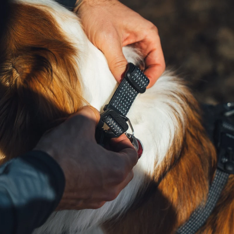 Ruffwear Ridgeline Collar – Reflektierendes Hundehalsband für Abenteuer, Sicherheit & Komfort bei Tag und Nacht