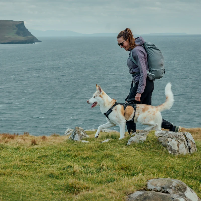 Ruffwear Ridgeline Harness – Fidlock® Magnetschnallen & Haltegriff für maximale Kontrolle, Bewegungsfreiheit & ganztägigen Outdoor-Komfort