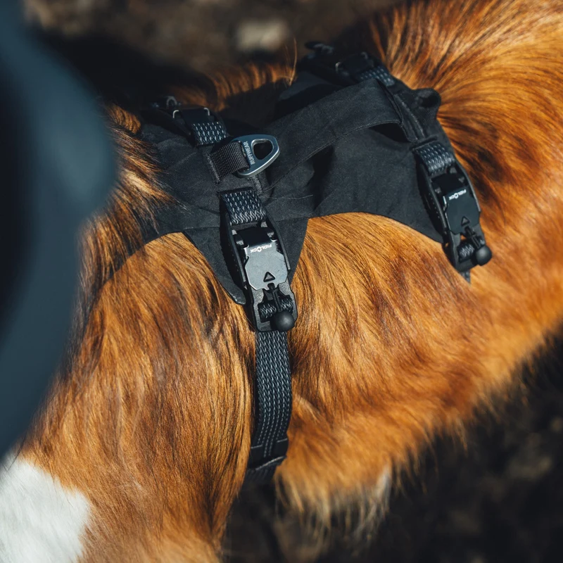 Ruffwear Ridgeline Harness – Fidlock® Magnetschnallen & Haltegriff für maximale Kontrolle, Bewegungsfreiheit & ganztägigen Outdoor-Komfort