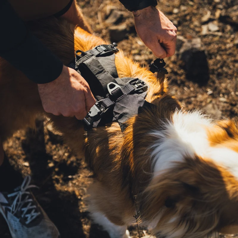 Ruffwear Ridgeline Harness – Fidlock® Magnetschnallen & Haltegriff für maximale Kontrolle, Bewegungsfreiheit & ganztägigen Outdoor-Komfort