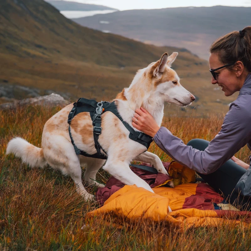 Ruffwear Ridgeline Harness – Fidlock® Magnetschnallen & Haltegriff für maximale Kontrolle, Bewegungsfreiheit & ganztägigen Outdoor-Komfort