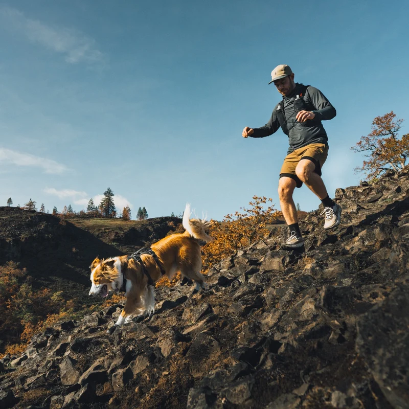 Ruffwear Ridgeline Harness – Fidlock® Magnetschnallen & Haltegriff für maximale Kontrolle, Bewegungsfreiheit & ganztägigen Outdoor-Komfort