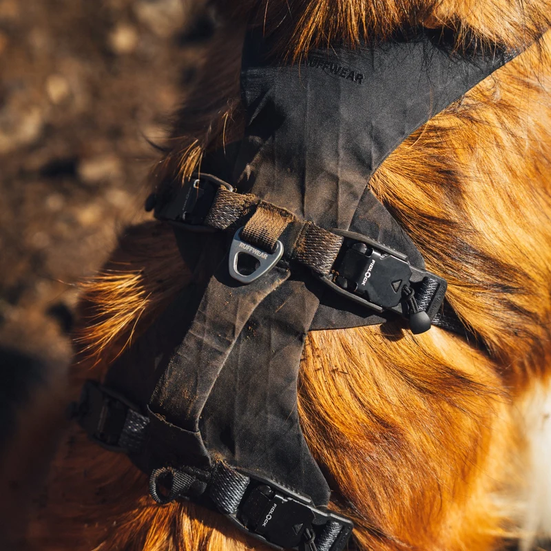 Ruffwear Ridgeline Harness – Fidlock® Magnetschnallen & Haltegriff für maximale Kontrolle, Bewegungsfreiheit & ganztägigen Outdoor-Komfort