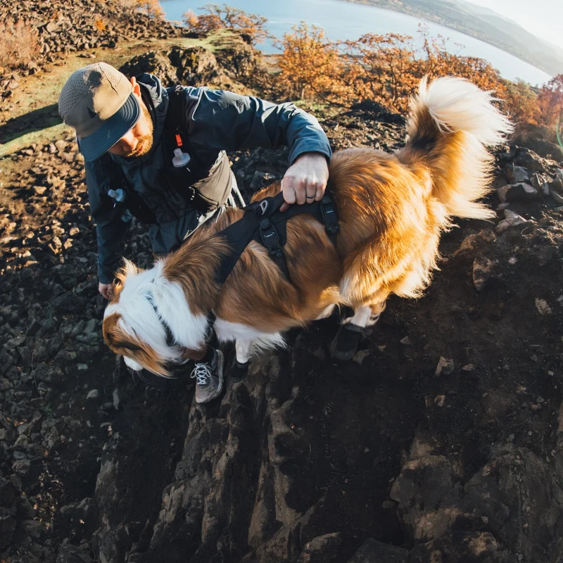 Ruffwear Ridgeline Harness – Fidlock® Magnetschnallen & Haltegriff für maximale Kontrolle, Bewegungsfreiheit & ganztägigen Outdoor-Komfort