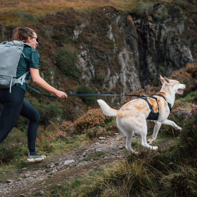 Ruffwear Ridgeline Harness – Fidlock® Magnetschnallen & Haltegriff für maximale Kontrolle, Bewegungsfreiheit & ganztägigen Outdoor-Komfort