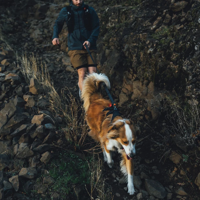 Ruffwear Ridgeline Harness – Fidlock® Magnetschnallen & Haltegriff für maximale Kontrolle, Bewegungsfreiheit & ganztägigen Outdoor-Komfort
