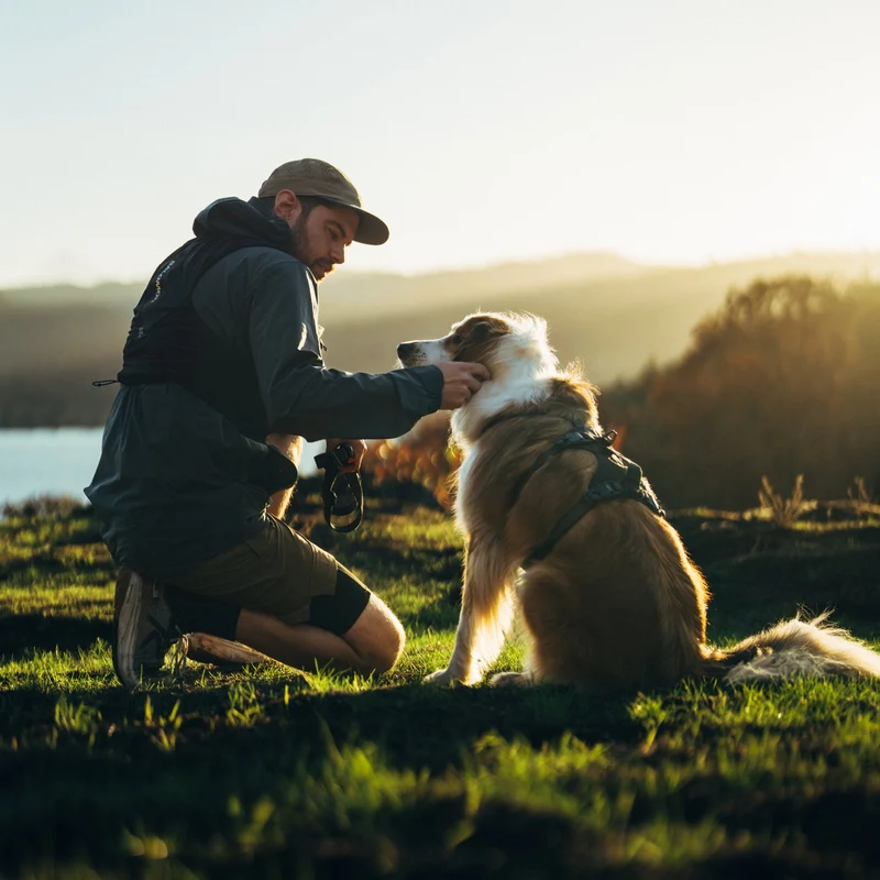 Ruffwear Ridgeline Harness – Fidlock® Magnetschnallen & Haltegriff für maximale Kontrolle, Bewegungsfreiheit & ganztägigen Outdoor-Komfort