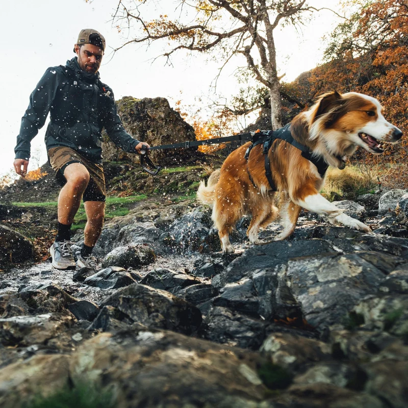 Ruffwear Ridgeline Harness – Fidlock® Magnetschnallen & Haltegriff für maximale Kontrolle, Bewegungsfreiheit & ganztägigen Outdoor-Komfort