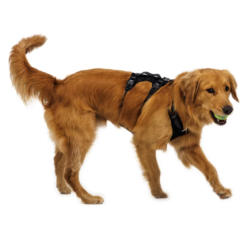 Ruffwear Ridgeline Harness – Fidlock® Magnetschnallen & Haltegriff für maximale Kontrolle, Bewegungsfreiheit & ganztägigen Outdoor-Komfort