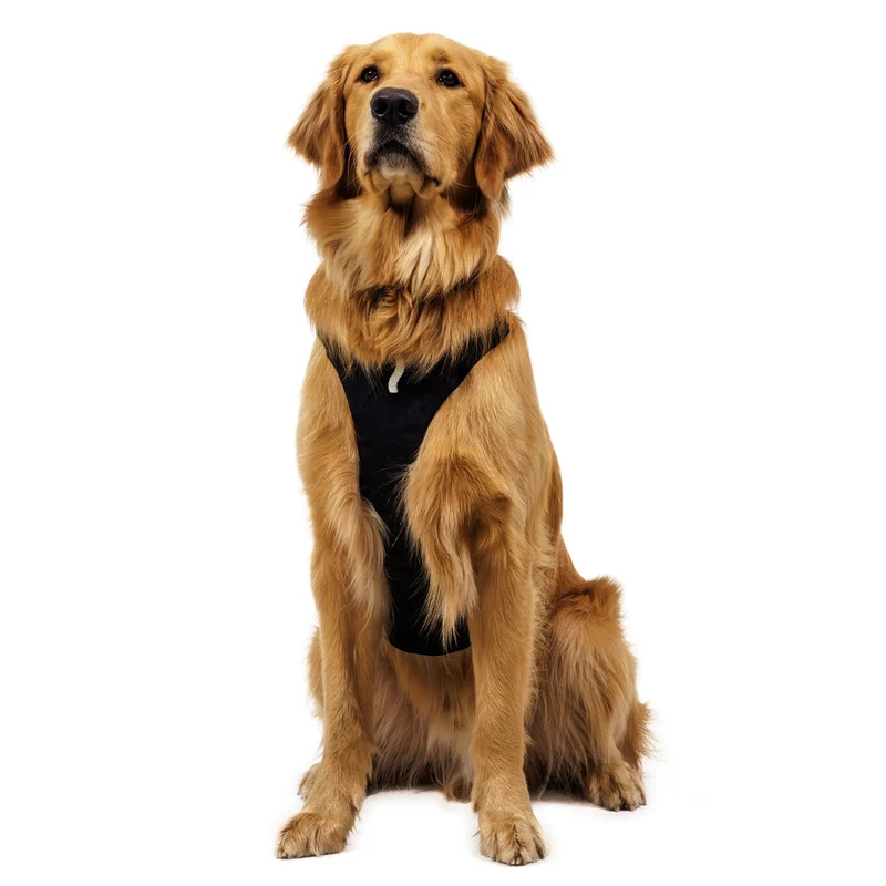 Ruffwear Ridgeline Harness – Fidlock® Magnetschnallen & Haltegriff für maximale Kontrolle, Bewegungsfreiheit & ganztägigen Outdoor-Komfort