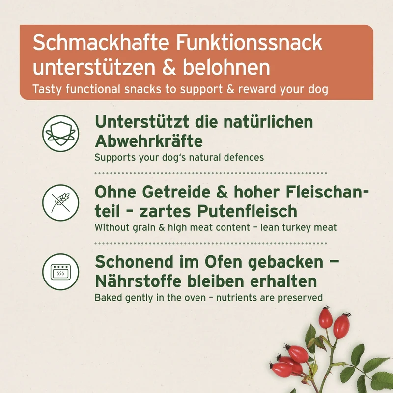 AniForte Immun-Boost Snack für Hunde – Natürlicher Funktionssnack zur Stärkung der Abwehrkräfte & Immunsystem