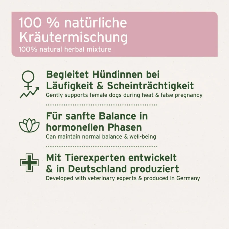 AniForte Hormon Balance für Hündinnen – Natürliche Unterstützung bei Läufigkeit, Scheinträchtigkeit & hormonellem Ungleichgewicht