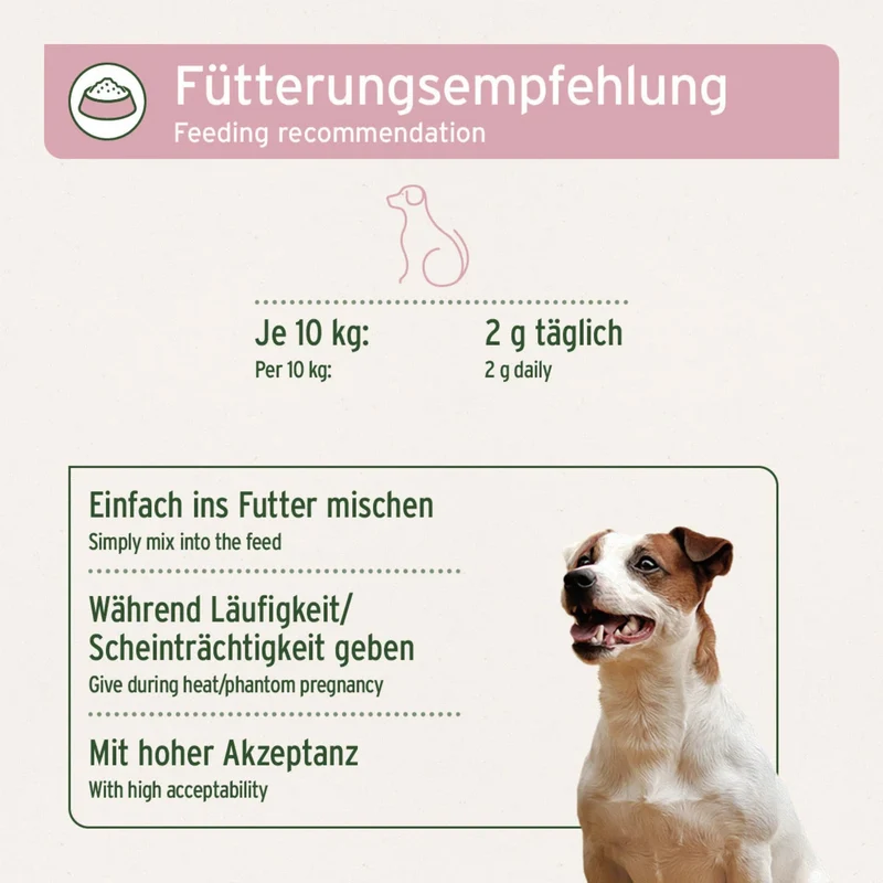 AniForte Hormon Balance für Hündinnen – Natürliche Unterstützung bei Läufigkeit, Scheinträchtigkeit & hormonellem Ungleichgewicht