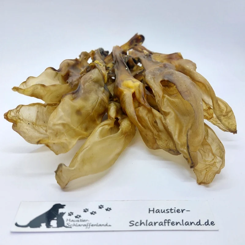 Kaninchen-Ohren