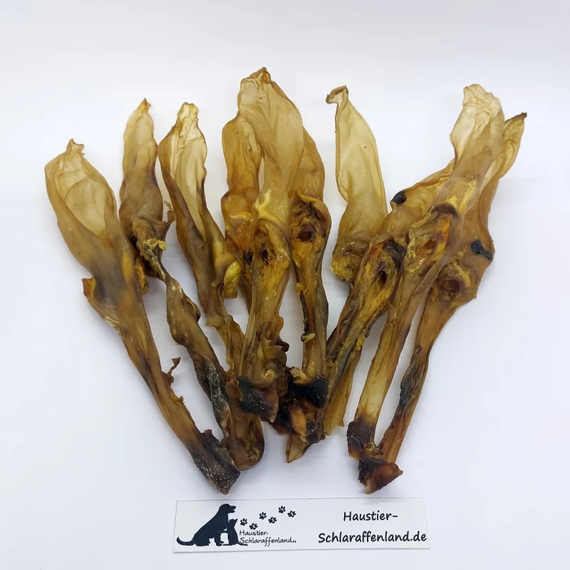 Kaninchen-Ohren