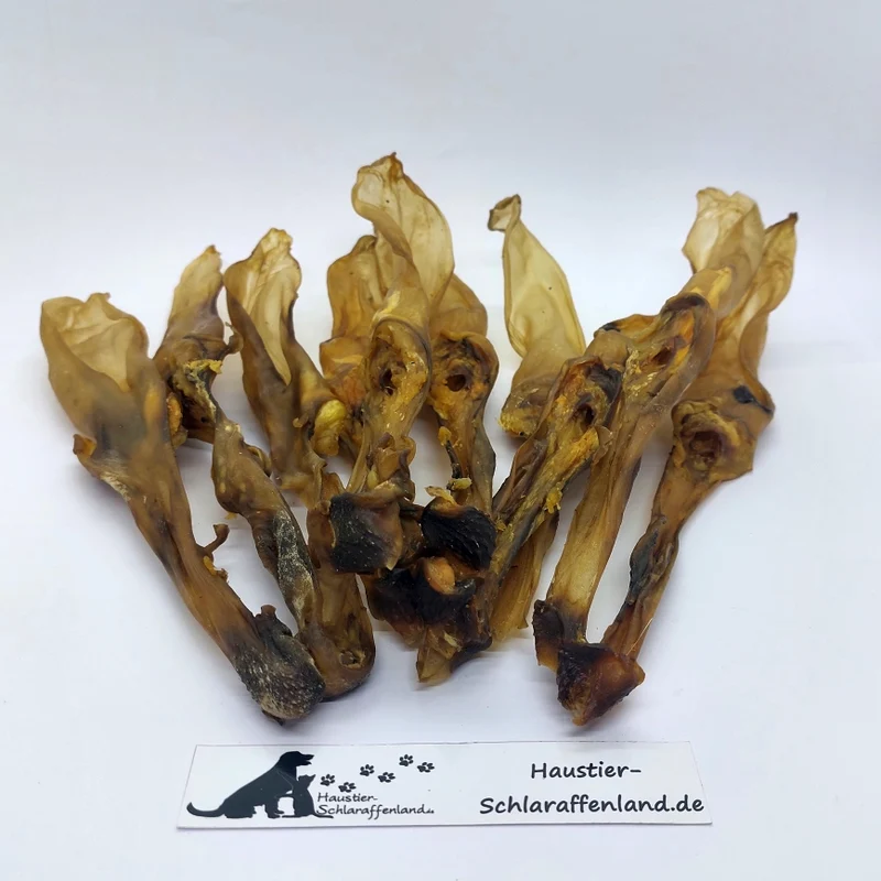 Kaninchen-Ohren