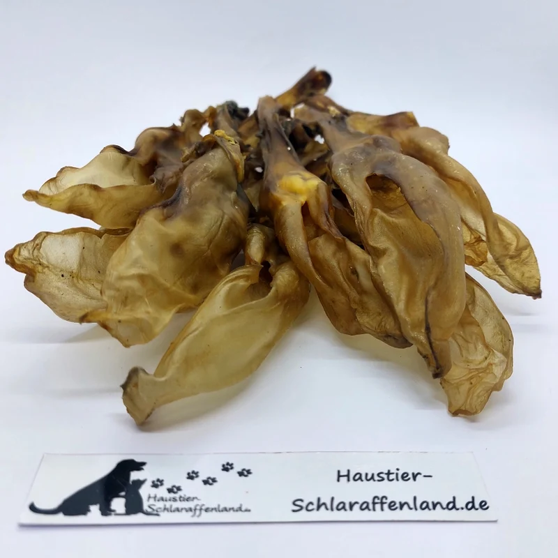 Kaninchen-Ohren