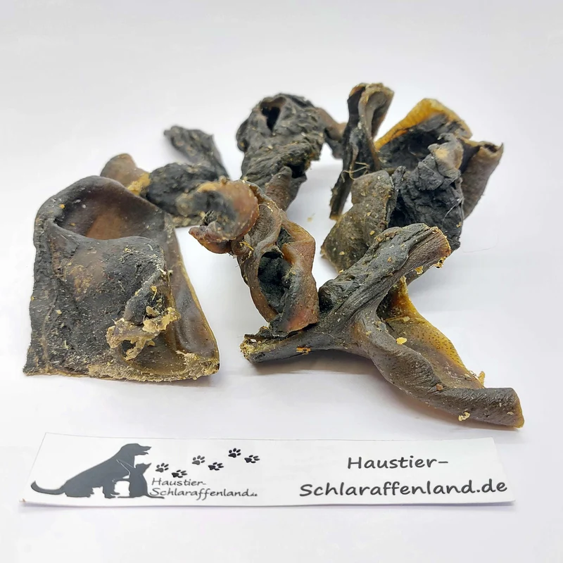 Wildschwein-Haut