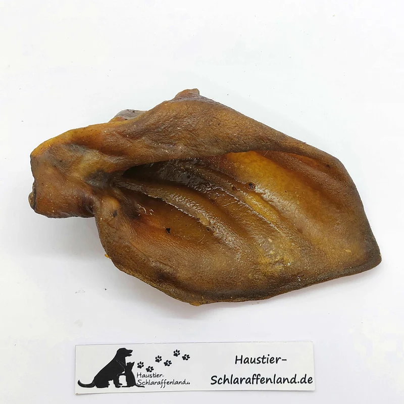 Wildschwein-Ohr