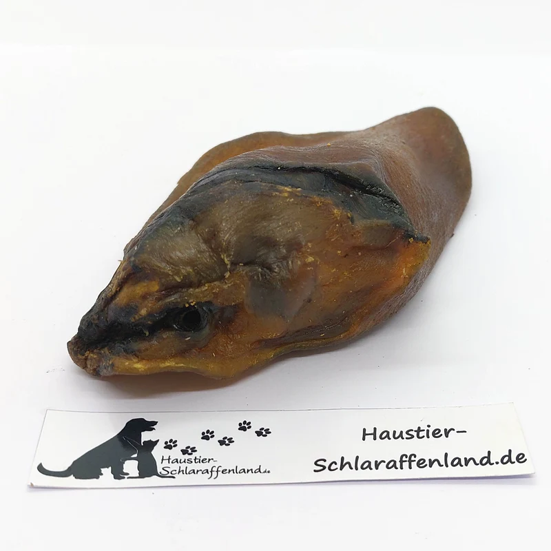 Wildschwein-Ohr