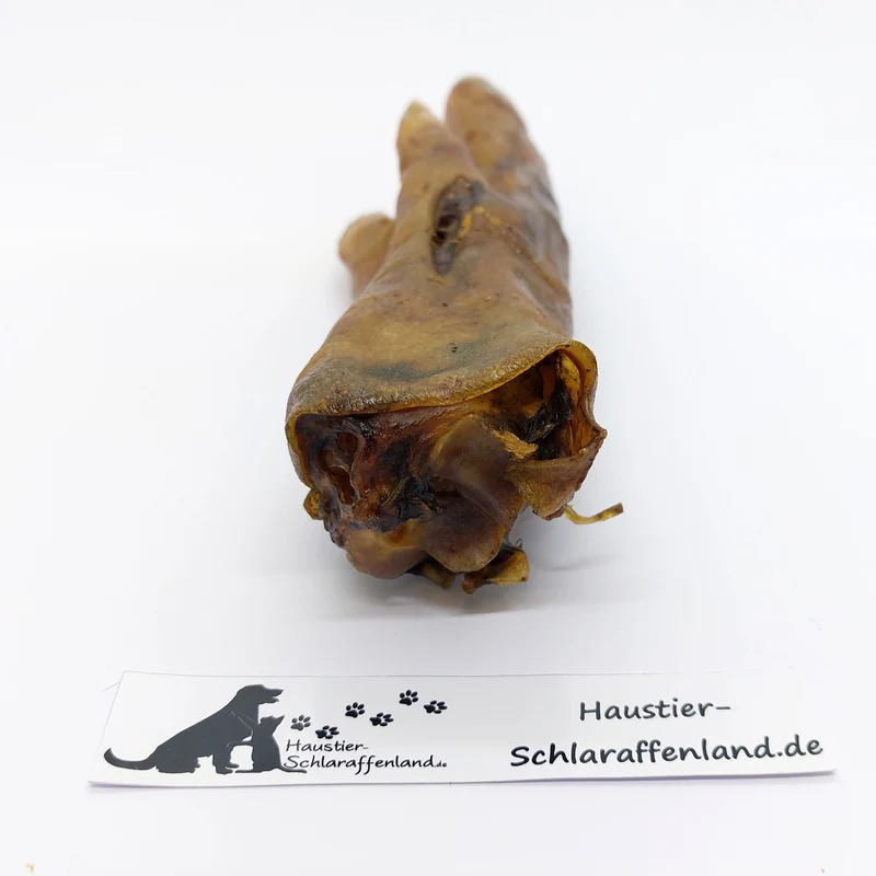 Wildschwein-Fuß