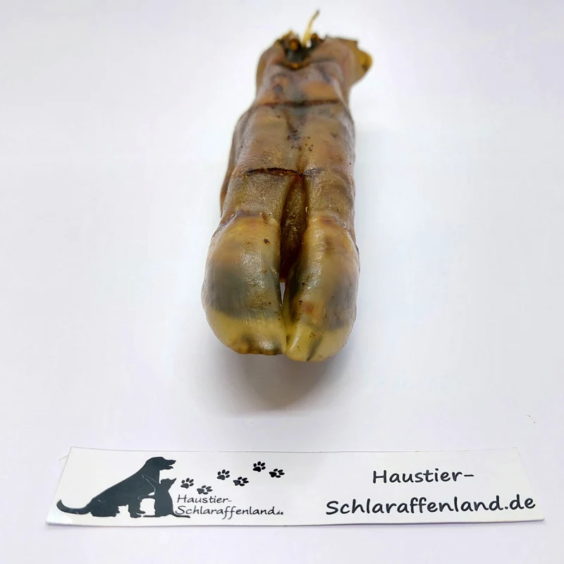 Wildschwein-Fuß