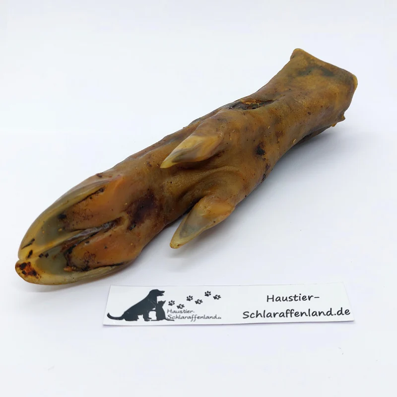 Wildschwein-Fuß