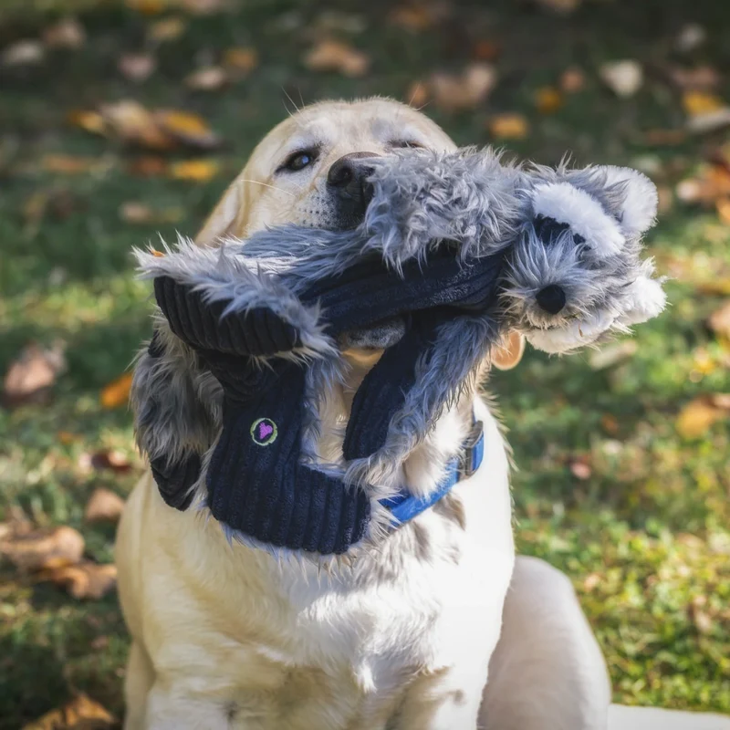 HuggleHounds X-Brace Redwood Raccoon – Nahezu unzerstörbares Hundespielzeug mit verstärkter X-Naht für Power-Kauer und intensive Spielfreude