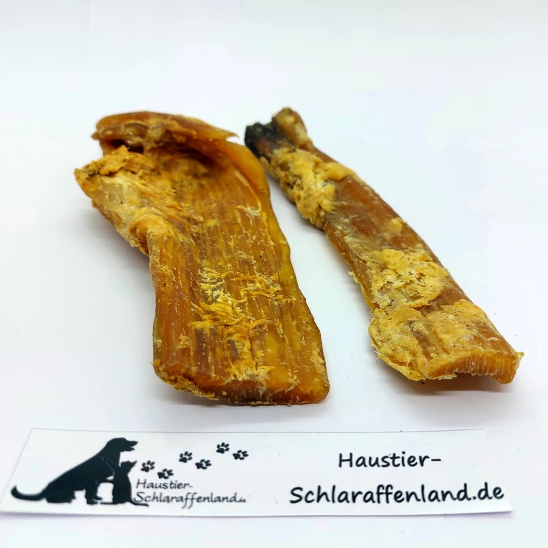 Pferde-Nackensehne