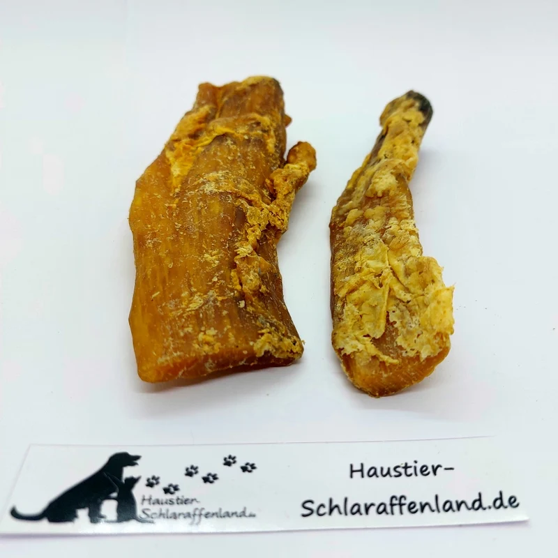 Pferde-Nackensehne