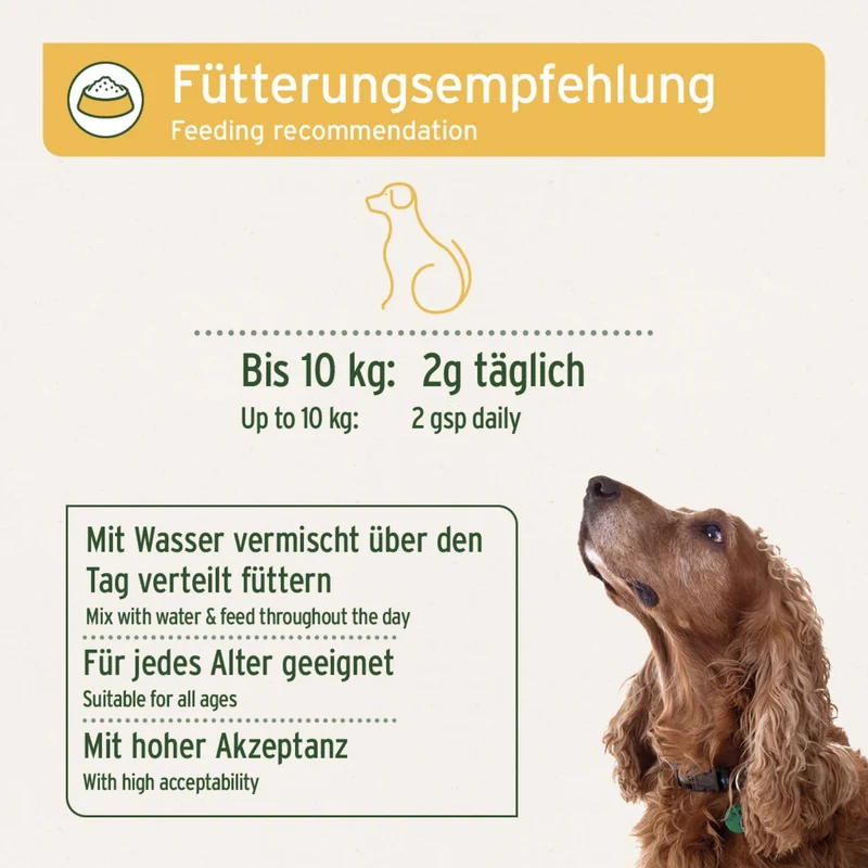 AniForte MagenSanft Granulatpulver für Hunde – Natürliche Unterstützung bei Verdauungsproblemen & weichem Kot