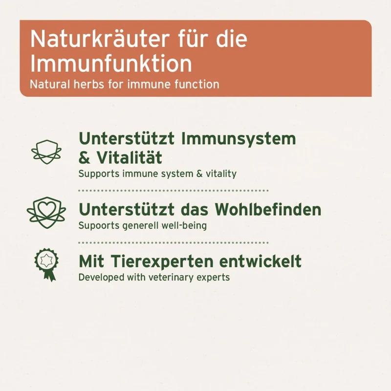 AniForte Immun-Aktiv für Hunde – Natürliche Immunstärkung mit Hagebutte & Spirulina