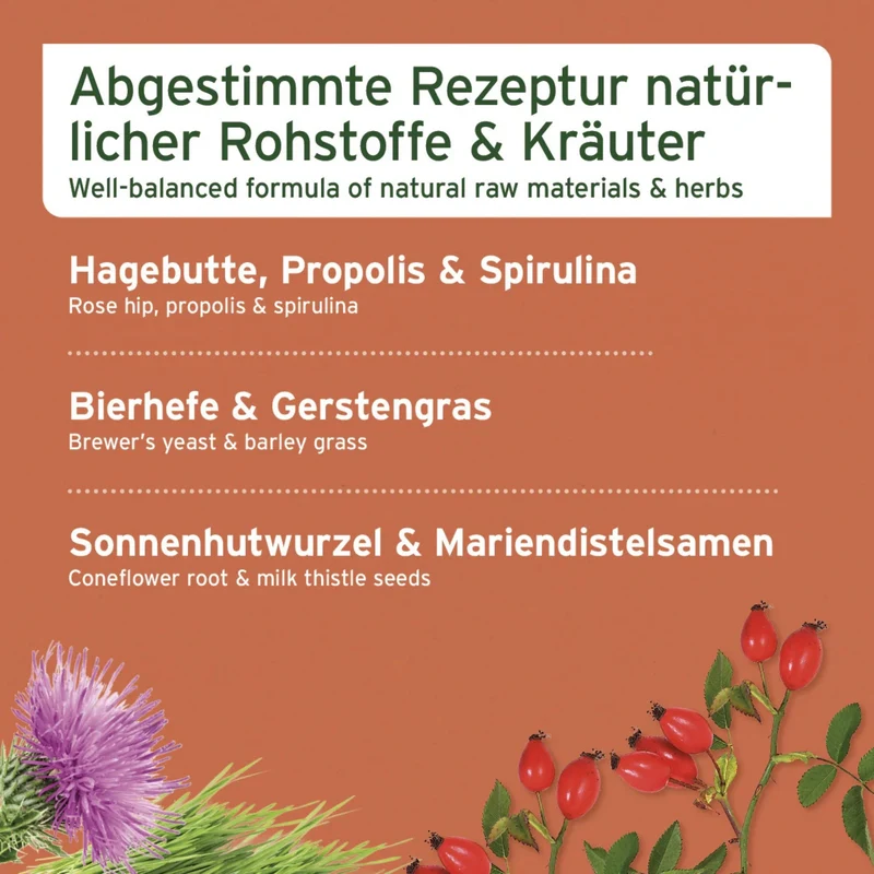 AniForte Immun-Aktiv für Hunde – Natürliche Immunstärkung mit Hagebutte & Spirulina