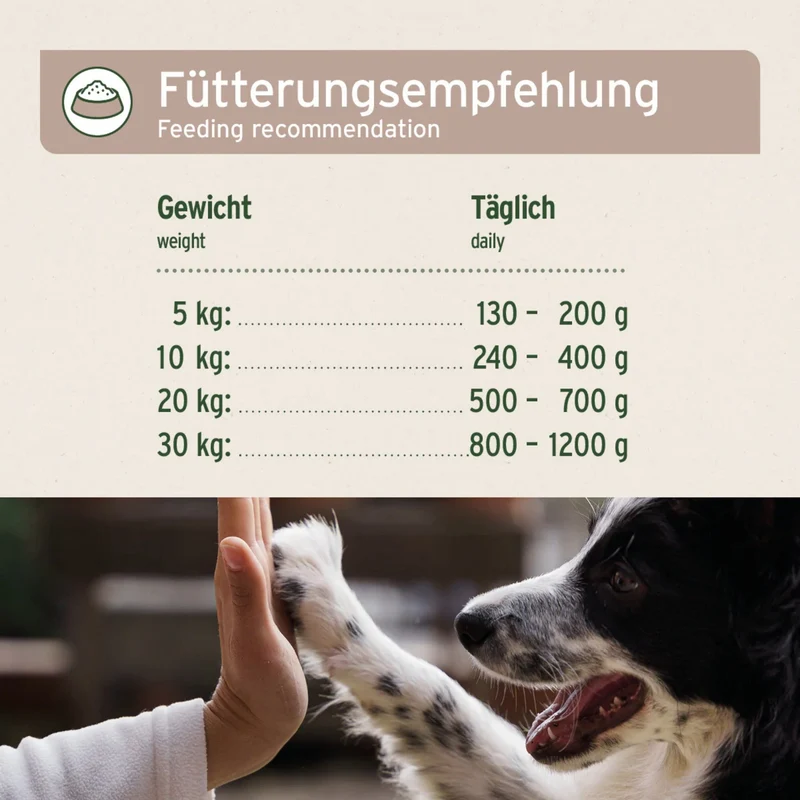 AniForte Pure Nature Farms Lamb Nassfutter für sensible Hunde – 100% Lamm, glutenfrei, mit herzhaftem Gemüse