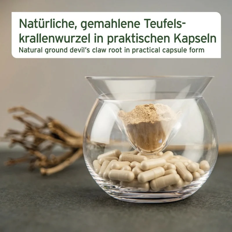 AniForte Teufelskralle Kapseln für Hunde – Natürliche Unterstützung für bewegliche Gelenke & geschmeidige Muskeln