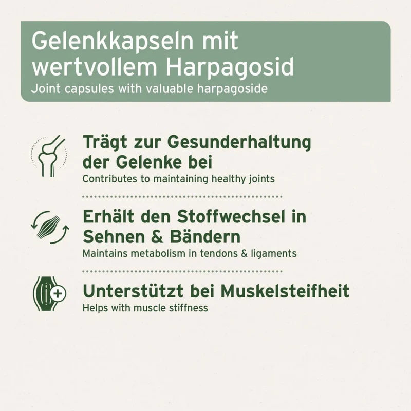 AniForte Teufelskralle Kapseln für Hunde – Natürliche Unterstützung für bewegliche Gelenke & geschmeidige Muskeln