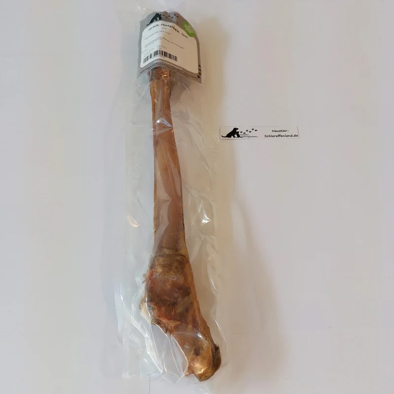 Hirsch-Hinterbein