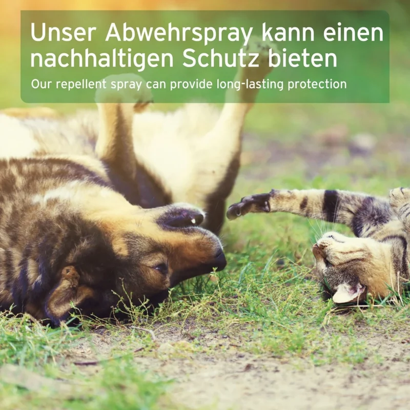 AniForte Zeckenspray für Hunde – Natürlicher Zeckenschutz & Parasitenabwehr mit Langzeitwirkung