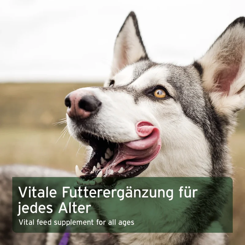 AniForte BARF LINE Sommergemüse Variationen – Getreidefreie Gemüseflocken für natürliche BARF-Ernährung