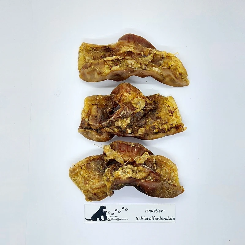 Schweine-Nasen, ganz
