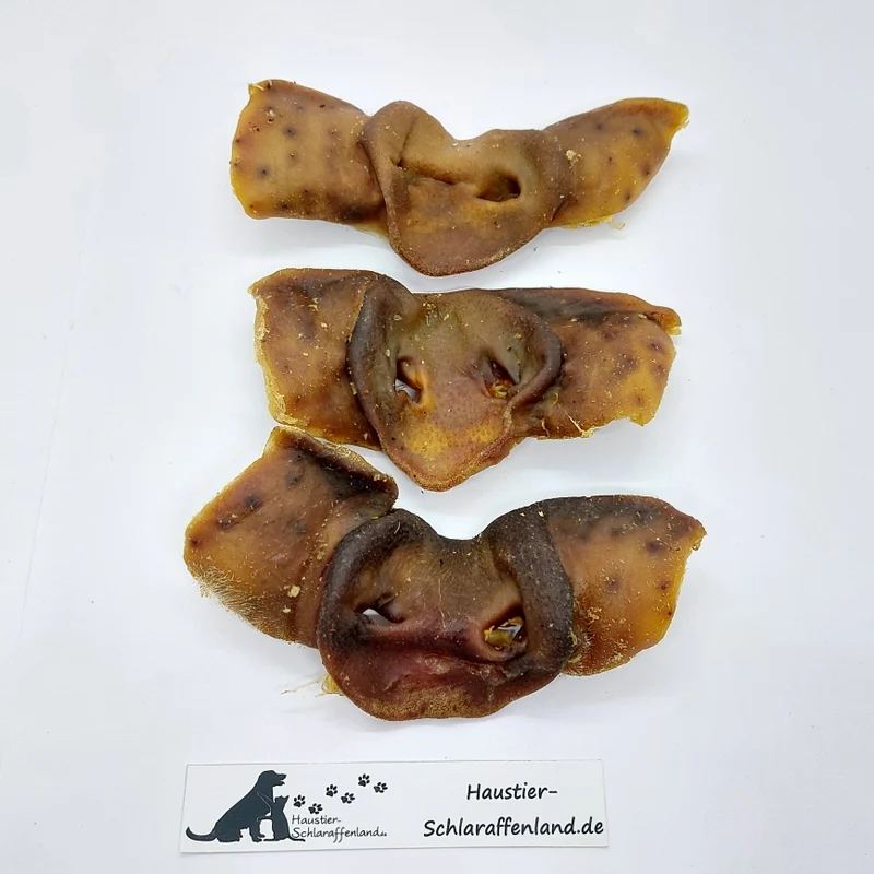 Schweine-Nasen, ganz