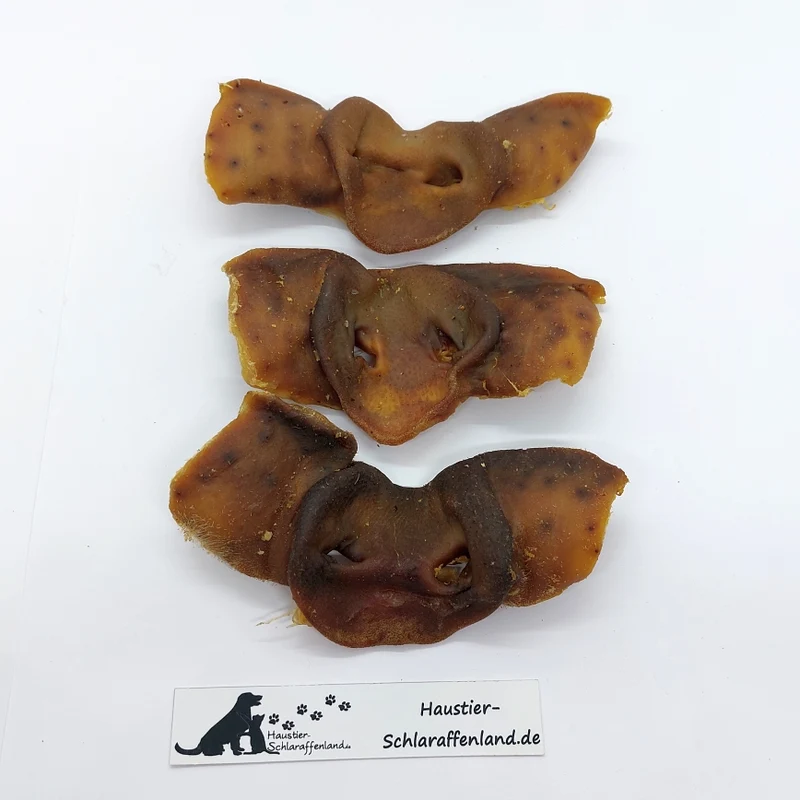 Schweine-Nasen, ganz