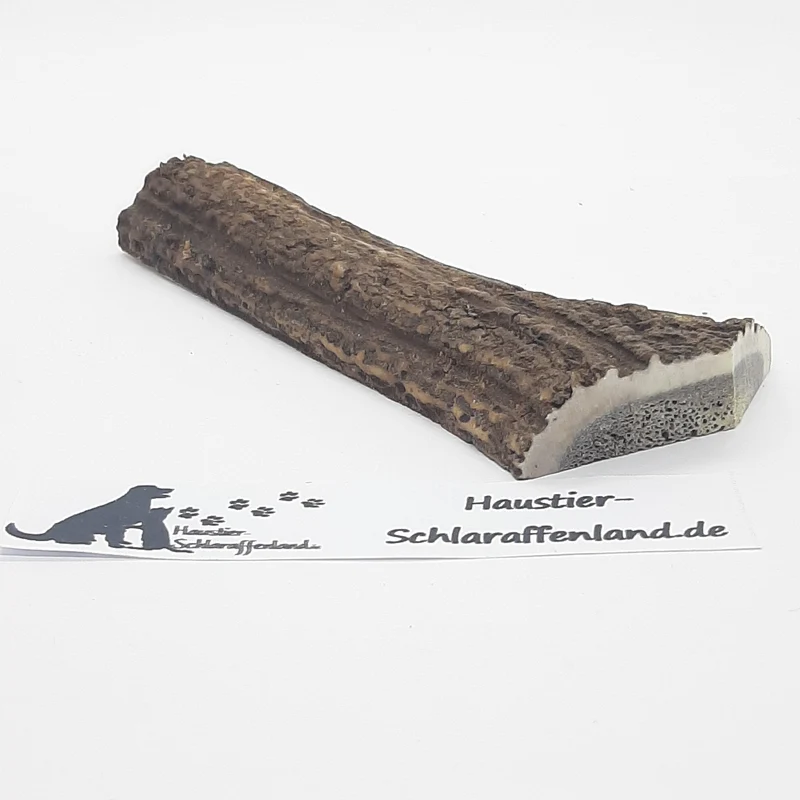 Hirsch-Geweih halbiert
