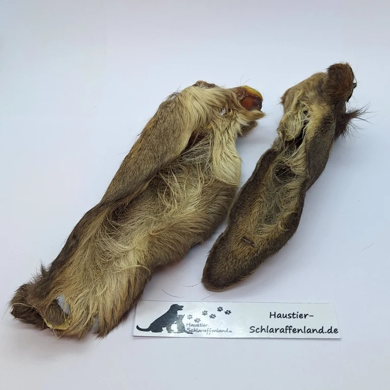 Hirsch-Ohren mit Fell