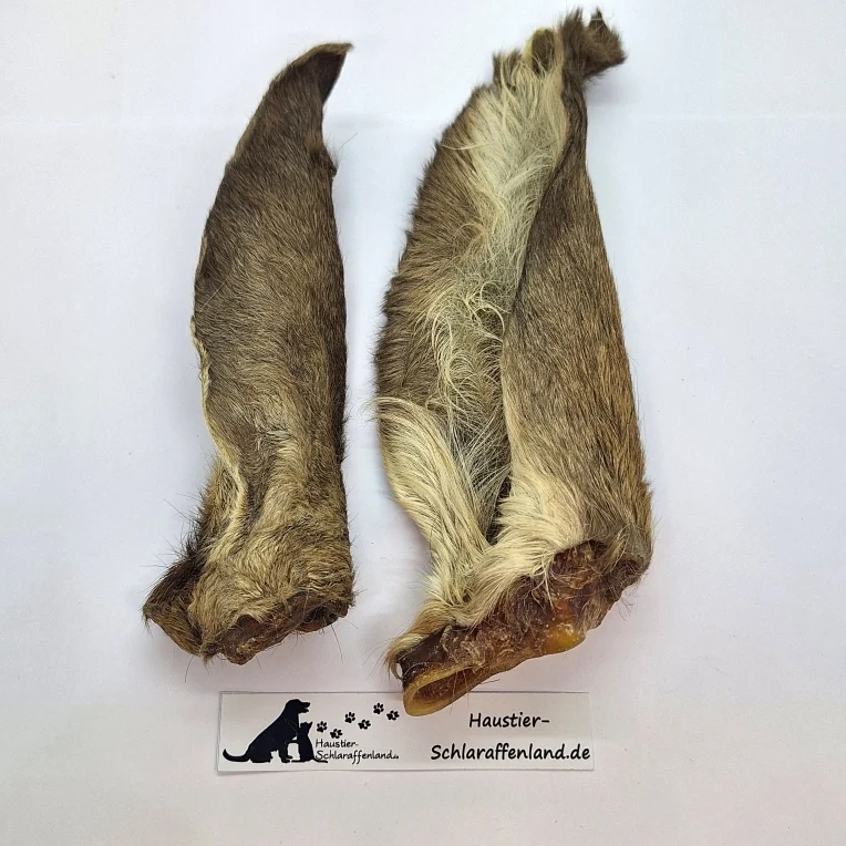 Hirsch-Ohren mit Fell