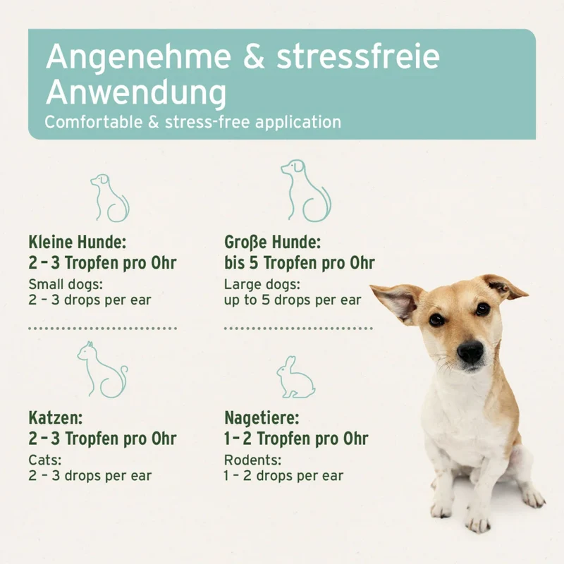 AniForte Ohrmilbenöl für Hunde – Natürliche Pflege bei Juckreiz, Ohrmilben & gereizten Ohren, sanfte Formel mit einfacher Anwendung