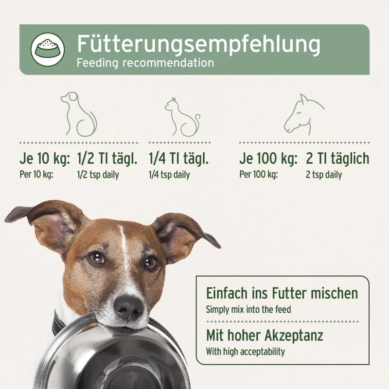 AniForte Leinöl für Hunde – Kaltgepresst für glänzendes Fell & gesunde Haut – reich an Omega-3 & 6