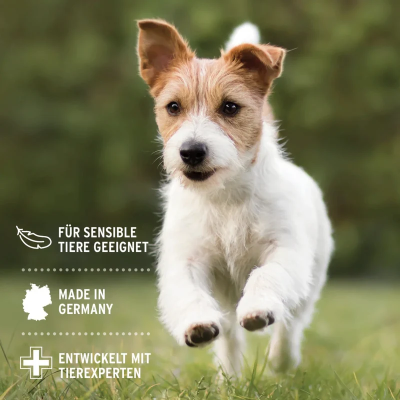 AniForte VET Ohrenreiniger für Hunde – Sanfte & natürliche Pflege mit Kamille bei Ohrenschmalz, Juckreiz & Entzündungen, tierärztlich empfohlen